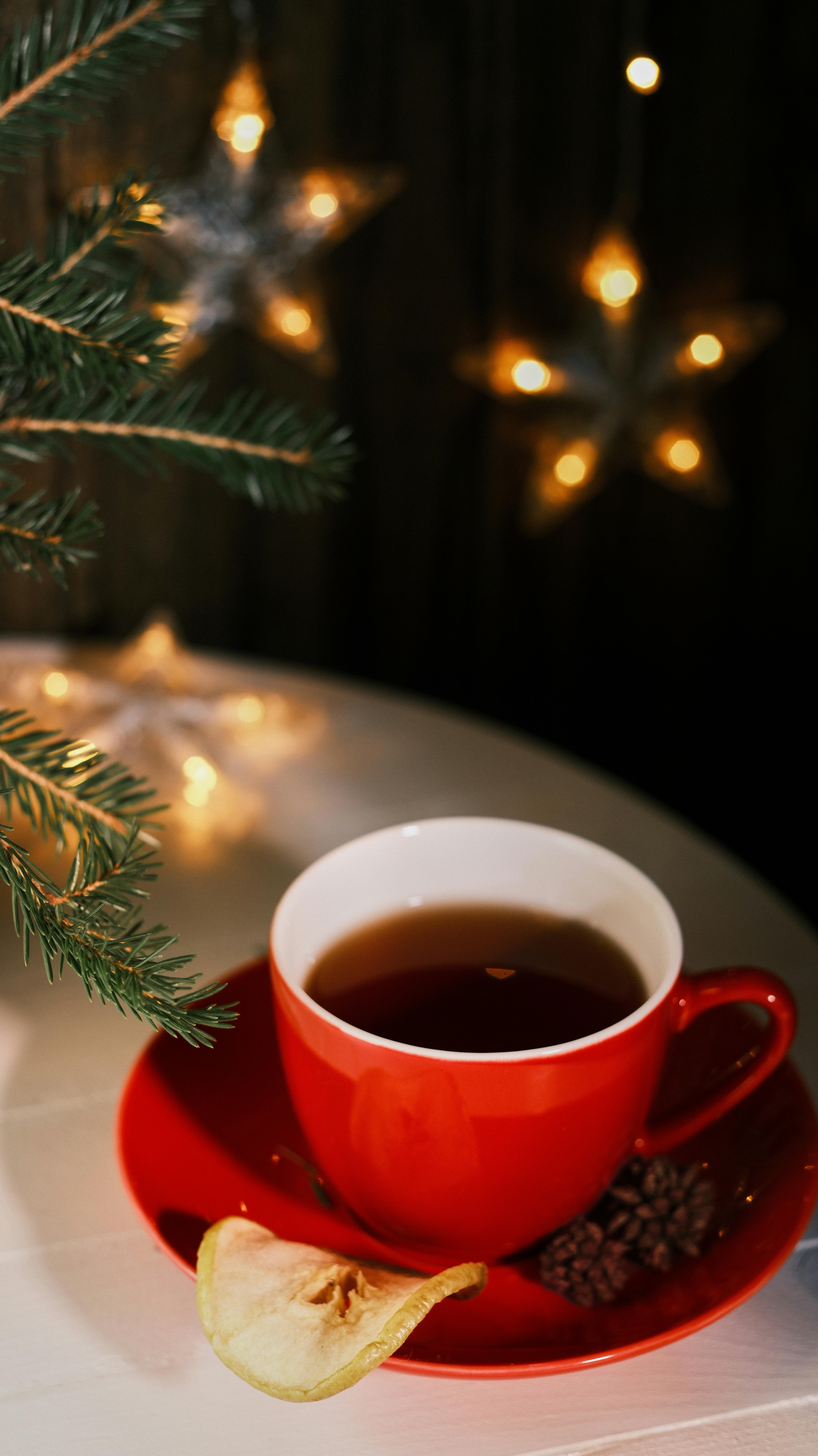 내 마음의 온도를 높여줄 다정한 조각들